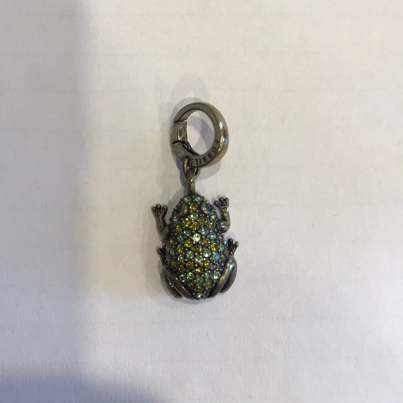 Fossil Frog charm - Picture 2 of 5
